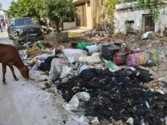 बलिया: डंपिंग रोक से शहर की सड़कों पर 50 टन कूड़ा जमा