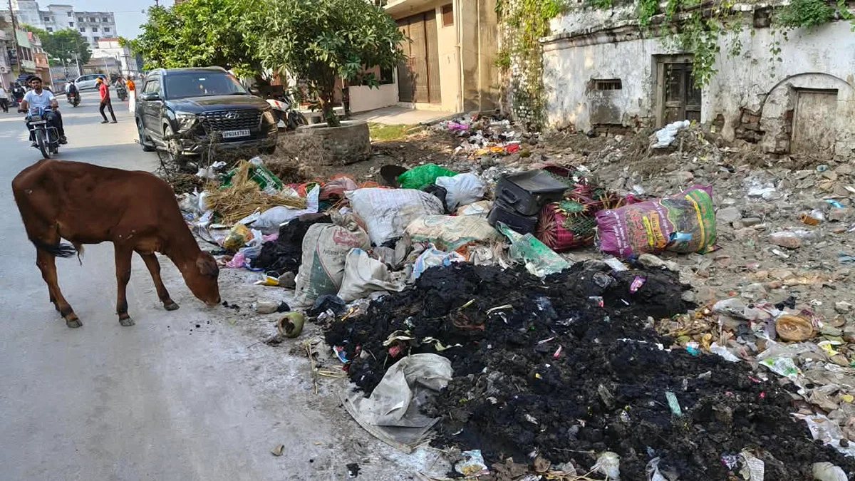 बलिया: डंपिंग रोक से शहर की सड़कों पर 50 टन कूड़ा जमा
