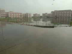 बस्ती: जलभराव से अटल आवासीय विद्यालय के छोटे बच्चे 10 दिन के लिए घर भेजे गए
