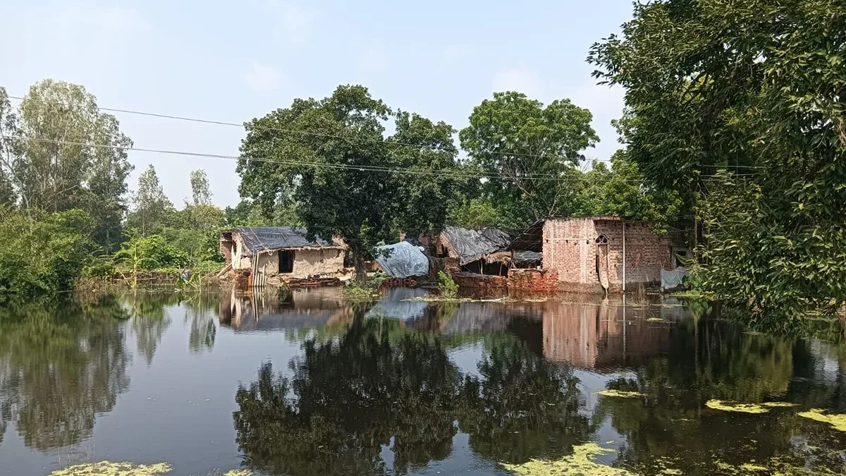 हरदोई: बाढ़-जलजमाव से 3,000 से अधिक बीघा फसल प्रभावित, गांव घिरे