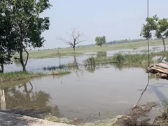 कासगंज: गंगा का जलस्तर 17 सेंटीमीटर घटा, बाढ़ प्रभावित किसानों को मुआवजा