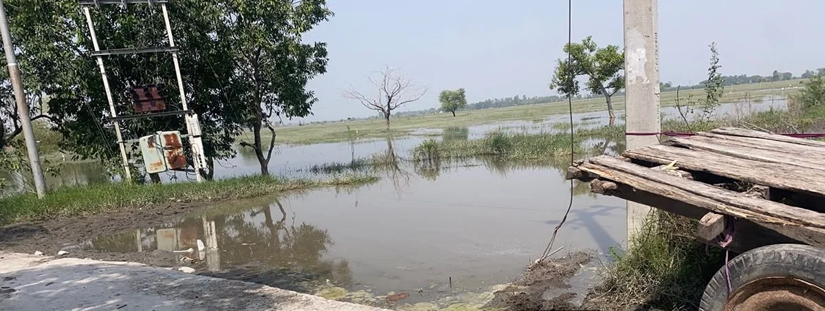 कासगंज: गंगा का जलस्तर 17 सेंटीमीटर घटा, बाढ़ प्रभावित किसानों को मुआवजा