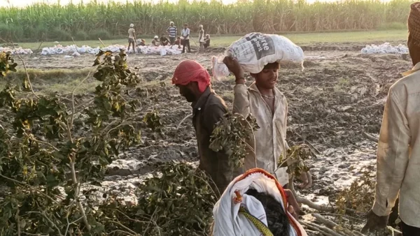 कासगंज: गंगा कटान से गोलामणि बचा, 30 हजार रेत के बैग लगाए गए