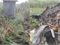 पीलीभीत: चंदिया हजारा में नेपाली हाथियों के झुंड ने फसल और झोपड़ी को नुकसान पहुँचाया