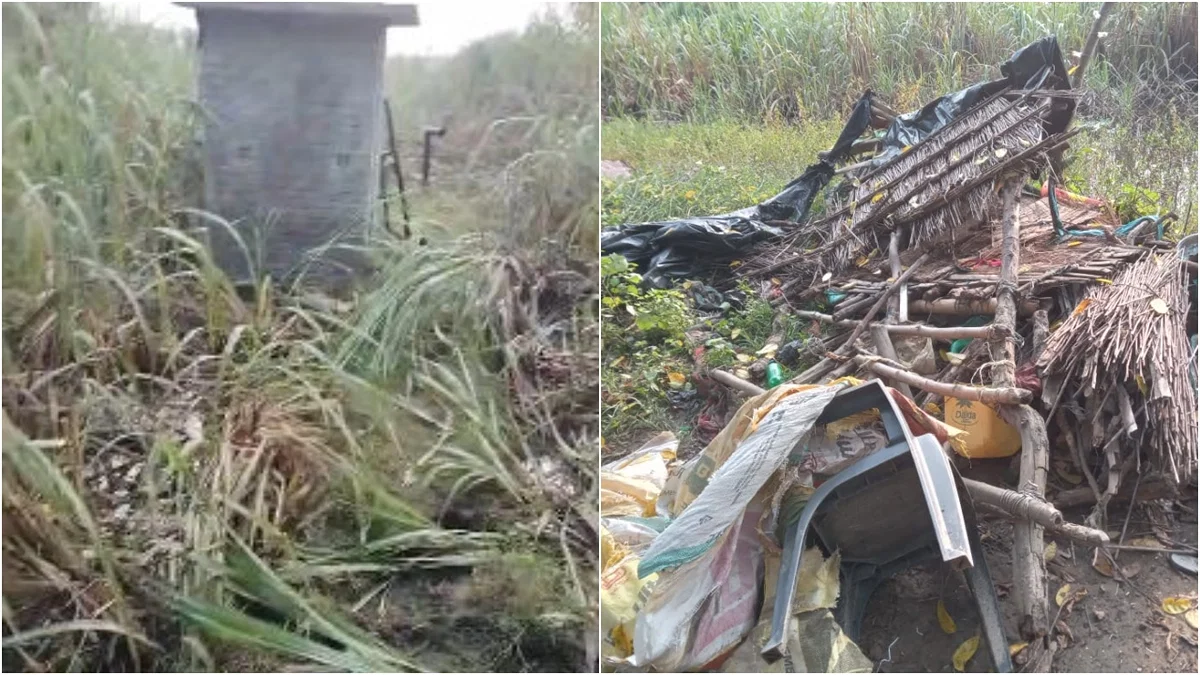 पीलीभीत: चंदिया हजारा में नेपाली हाथियों के झुंड ने फसल और झोपड़ी को नुकसान पहुँचाया