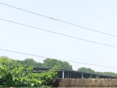 बदायूं: कचरा ढेर पर चढ़ते हुए 18 वर्षीय युवक 11 हजार वोल्ट की लाइन की चपेट में आकर झुलसा, मौत