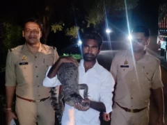 बुलंदशहर: स्टेट हाईवे पर मगरमच्छ दिखा, वन टीम ने रेस्क्यू कर पकड़ा