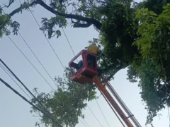 अम्बेडकर नगर: अकबरपुर-टांडा में तीन से छह घंटे बिजली गुल